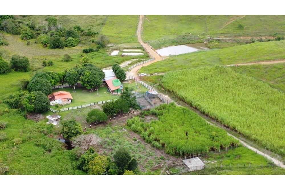 Chácara / Sítio / Fazenda - Venda - Itamaraju , Bahia - WhatsApp Image 2025-02-23 at 10.01.54 (1).jpeg - 580751001-262