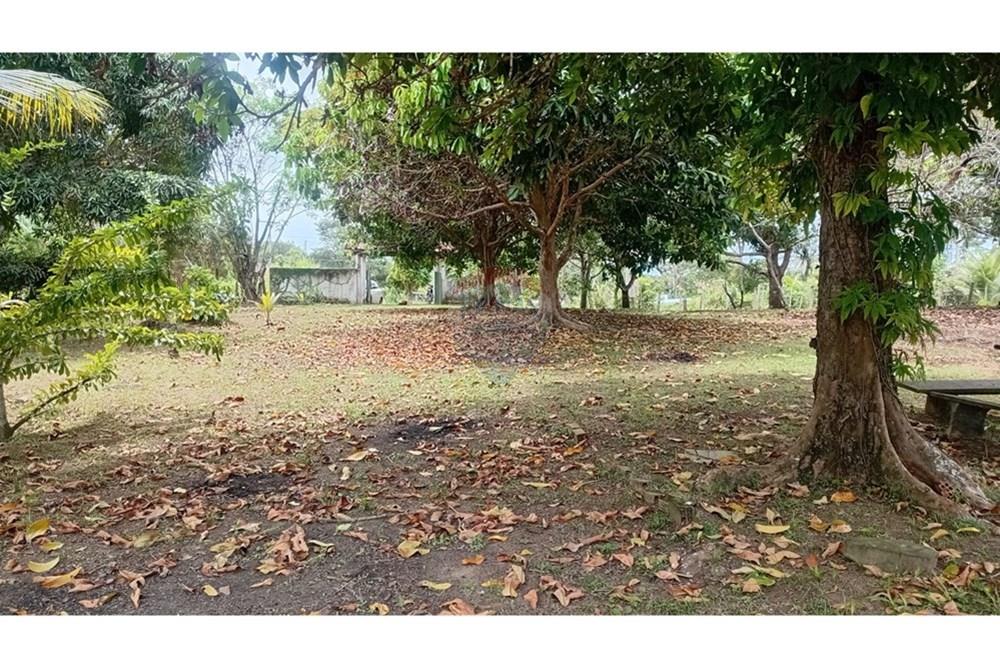 Chácara / Sítio / Fazenda - Alugar - Camaçari , Bahia - WhatsApp Image 2025-10-15 at 14.32.46 (1).jpeg - 580331013-753