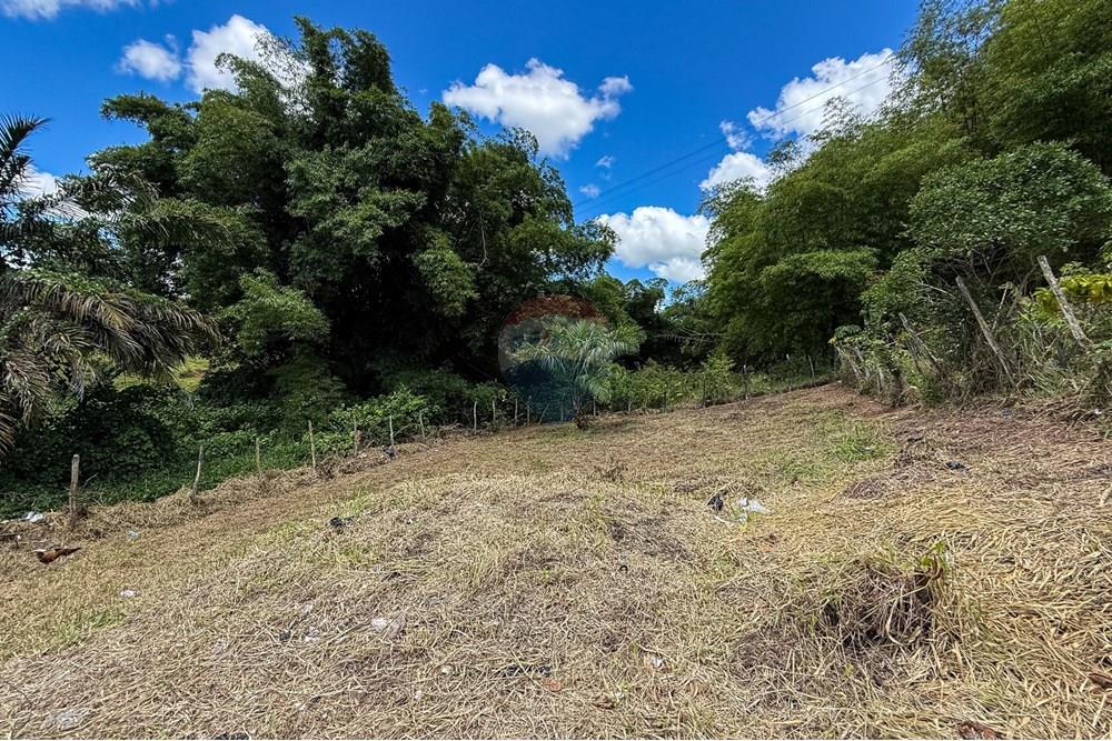 Terreno - Venda - Santo Antônio de Jesus , Bahia - IMG_0456.jpg - 580341046-28