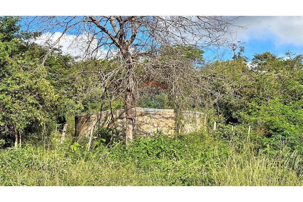 Chácara / Sítio / Fazenda - Venda - Jequié , Bahia - image00041.jpeg - 580731023-59