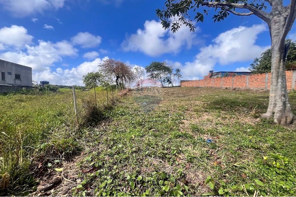 Residential - Lupa - Camaçari , Bahia - BR - IMG_2939.jpg - 580491009-99