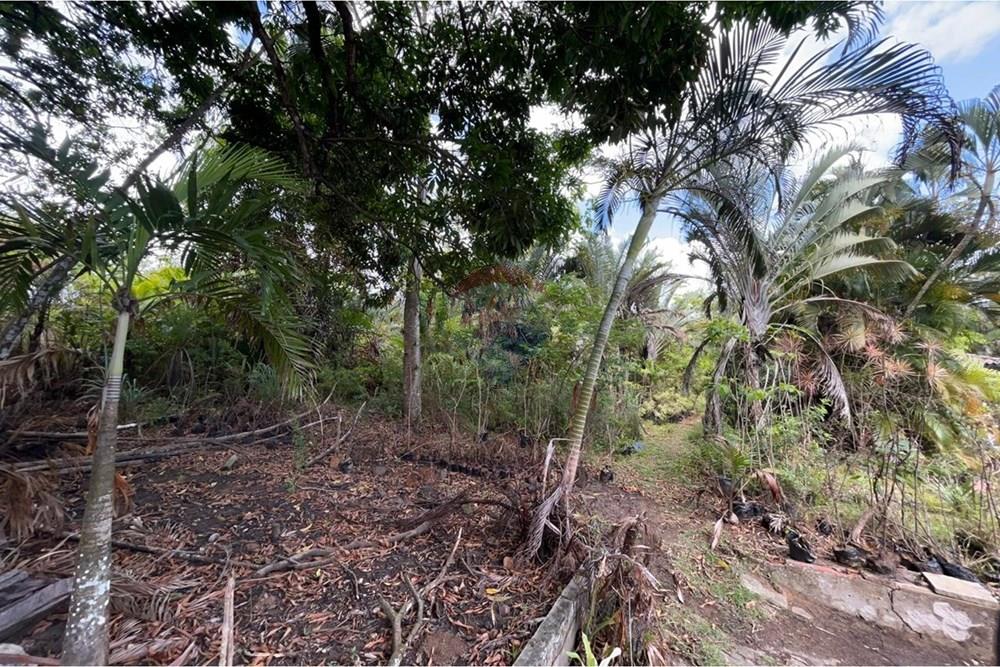 Chácara / Sítio / Fazenda - Venda - Salvador , Bahia - WhatsApp Image 2026-01-15 at 11.46.44.jpeg - 580721041-2