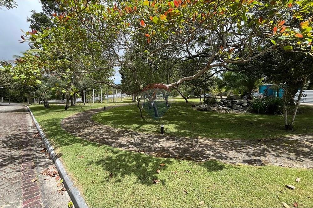 Terreno - Venda - Porto Seguro , Bahia - WhatsApp Image 2026-01-10 at 18.25.01 (1).jpeg - 580581012-107