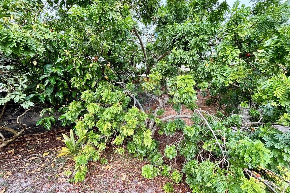 Casa - Venda - Santa Cruz Cabrália , Bahia - IMG_6661.jpg - 580811004-171