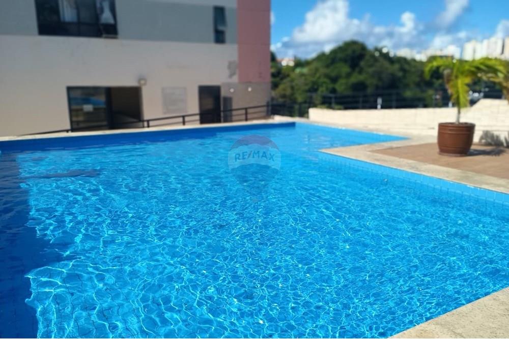 Apartamento - Venda - Salvador , Bahia - IMG-20250901-WA0253.jpg - 580551027-94
