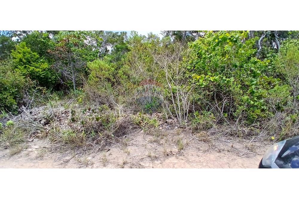 Terreno - Venda - Porto Seguro , Bahia - fotos (10).jpg - 580581006-62