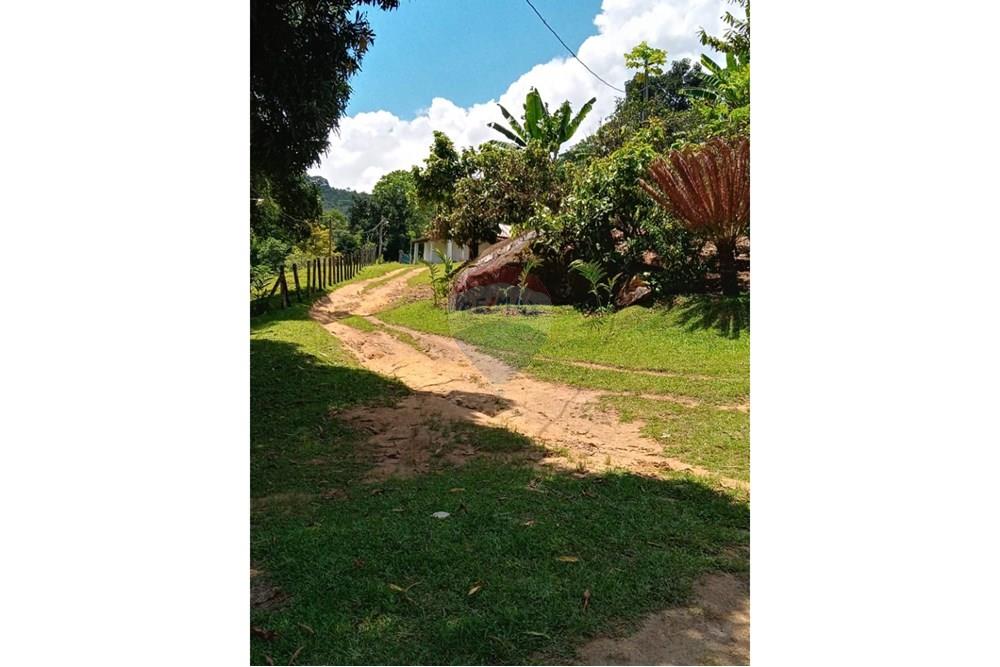 Chácara / Sítio / Fazenda - Venda - Jaguaquara , Bahia - 04.jpeg - 580731023-133