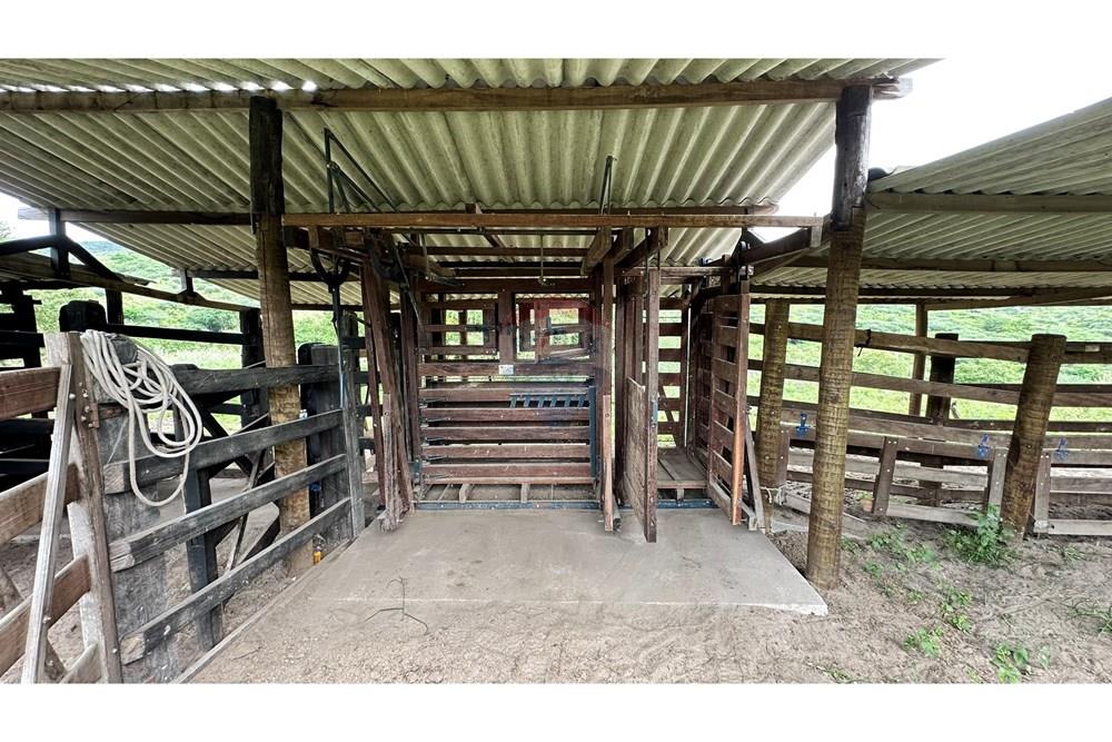 Chácara / Sítio / Fazenda - Venda - Jequié , Bahia - image00011.jpeg - 580731023-47