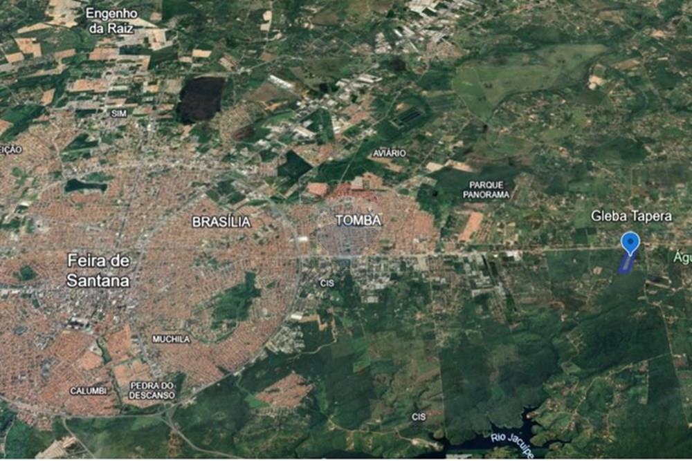 Chácara / Sítio / Fazenda - Venda - São Gonçalo dos Campos , Bahia - Terreno 02.jpg - 580541064-167