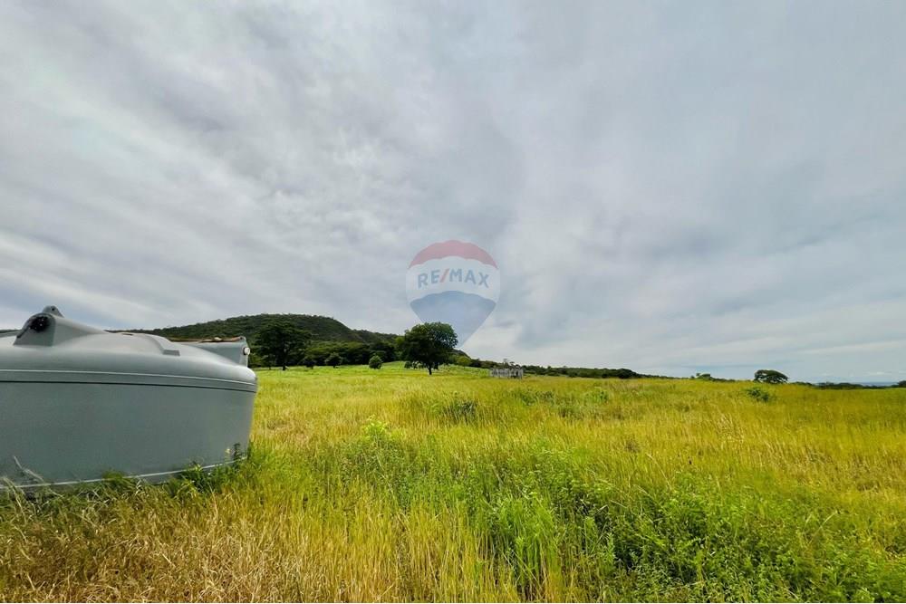 Chácara / Sítio / Fazenda - Venda - Barreiras , Bahia - WhatsApp Image 2025-03-11 at 17.53.53.jpeg - 580651065-24