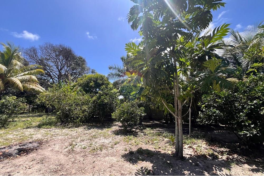 Chácara / Sítio / Fazenda - Venda - Camaçari , Bahia - WhatsApp Image 2025-11-18 at 17.19.35 (1).jpeg - 580491009-102