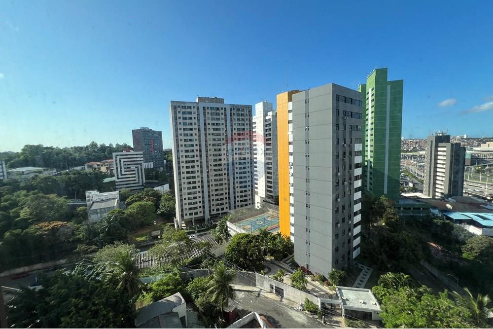 Apartamento - Parque bela vista