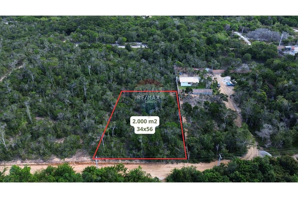 Terreno - Venda - Porto Seguro , Bahia - WhatsApp Image 2025-06-16 at 17.36.22.jpeg - 580581003-101