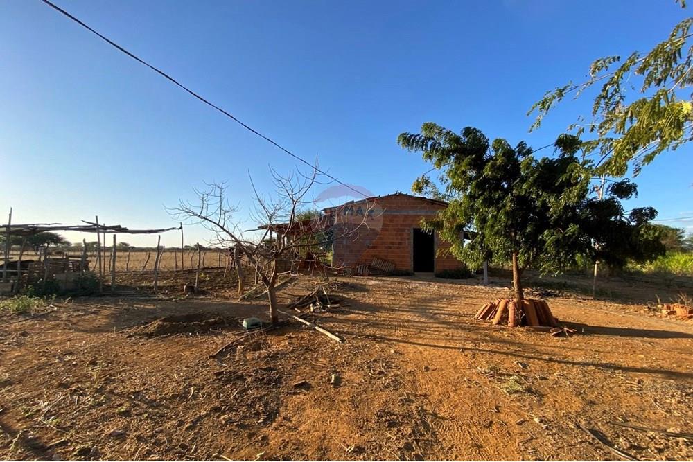 Terreno - Venda - Irecê , Bahia - 28f2345f-a7ee-4fe7-a7b2-5846b4c5e9d0.jpeg - 580841008-85