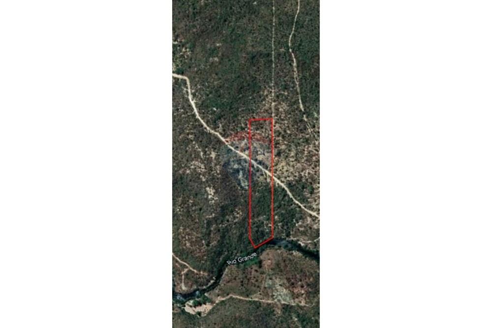 Agro - Venda - São Desidério , Bahia - WhatsApp Image 2026-01-21 at 19.04.49.jpeg - 580861009-32