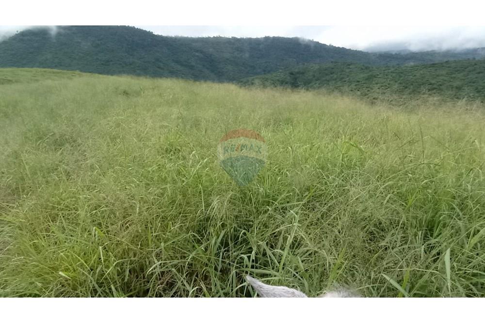 Chácara / Sítio / Fazenda - Venda - Jequié , Bahia - IMG-20240614-WA0282.jpg - 580731023-47