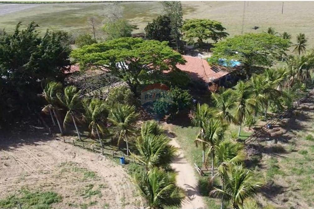 Chácara / Sítio / Fazenda - Venda - Medeiros Neto , Bahia - fazenda 05.jpg - 580581012-93