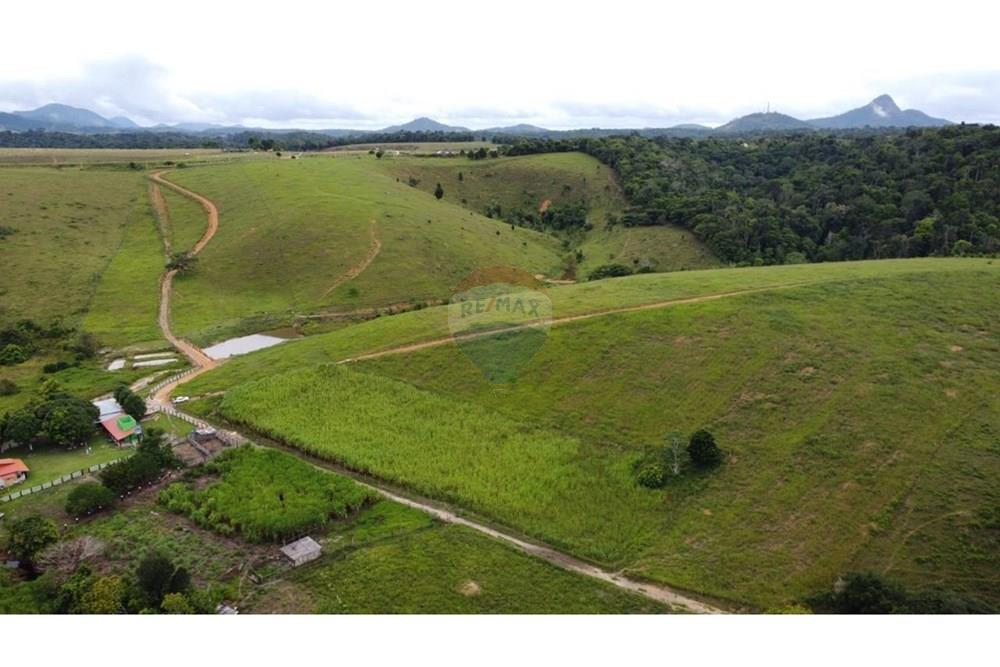 Chácara / Sítio / Fazenda - Venda - Itamaraju , Bahia - WhatsApp Image 2025-02-23 at 10.01.53 (4).jpeg - 580751001-262