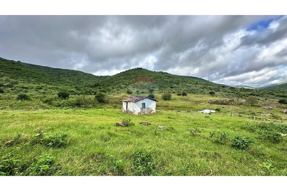 Chácara / Sítio / Fazenda - Venda - Jequié , Bahia - image00008.jpeg - 580731023-47