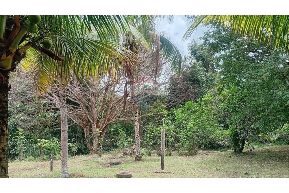 Chácara / Sítio / Fazenda - Alugar - Camaçari , Bahia - WhatsApp Image 2025-10-15 at 14.32.46.jpeg - 580331013-753