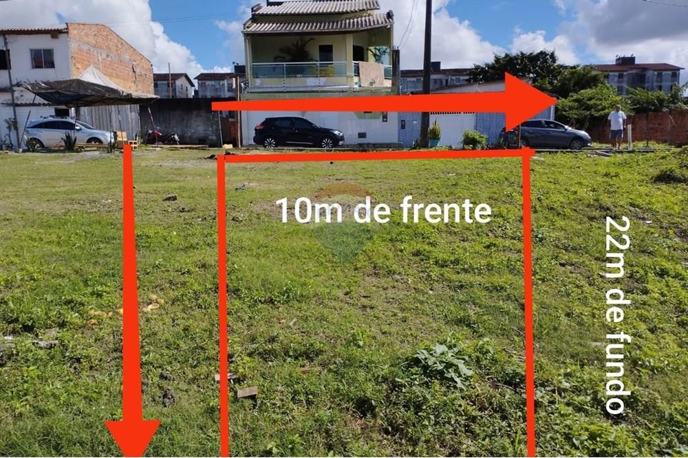 Terreno - Venda - Alagoinhas , Bahia - Imagem do WhatsApp de 2025-10-31 à(s) 11.31.34_3ba5e14b.jpg - 580701058-4