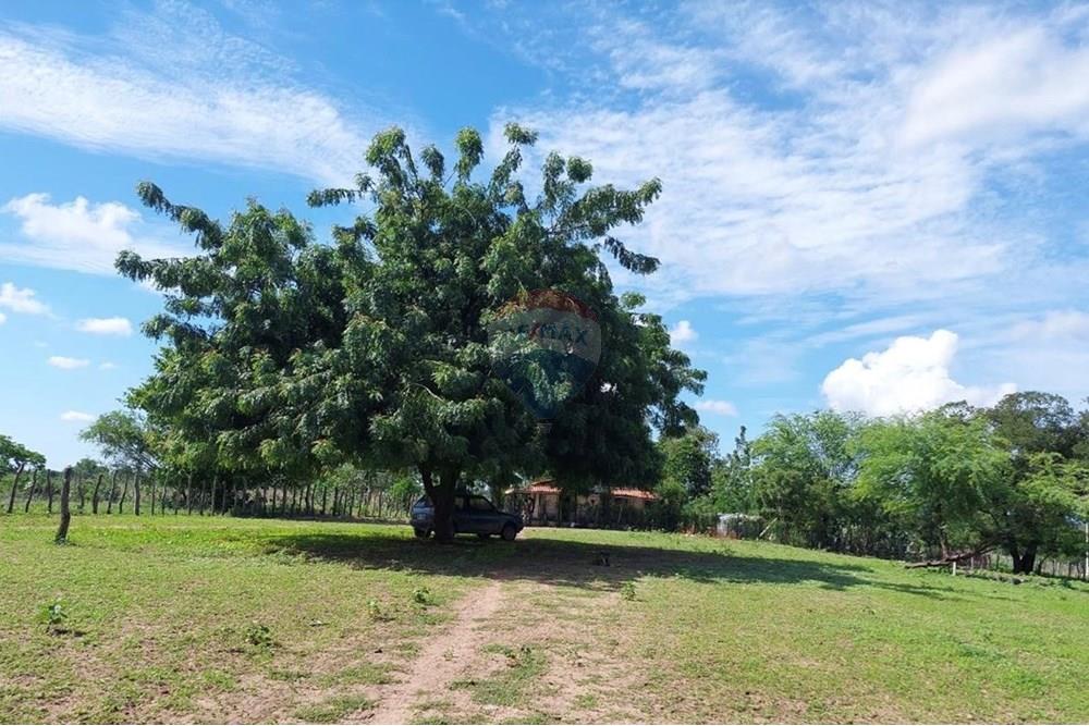 Chácara / Sítio / Fazenda - Venda - Ibotirama , Bahia - 56be9046-5607-4d43-a9a1-05dc7229bf13.jpg - 580831002-154