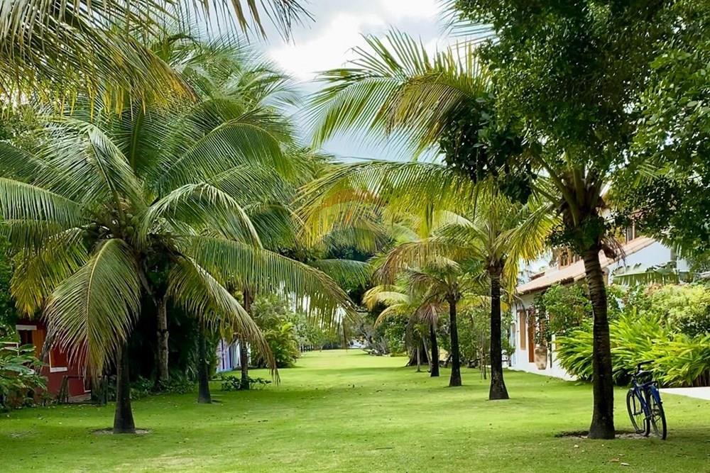 Terreno - Venda - Trancoso , Bahia - WhatsApp Image 2026-01-14 at 10.29.54 (1).jpeg - 580581012-110