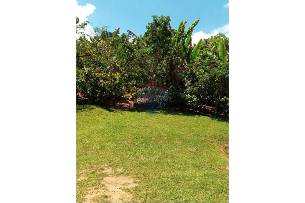 Chácara / Sítio / Fazenda - Venda - Jaguaquara , Bahia - 03.jpeg - 580731023-133