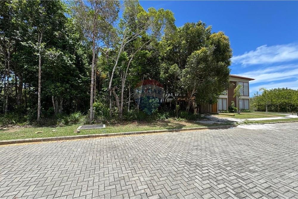 Terreno - Venda - Porto Seguro , Bahia - 67d66448-22f3-476f-a9a6-c1715e8aeb38 (1).jpeg - 580581002-140