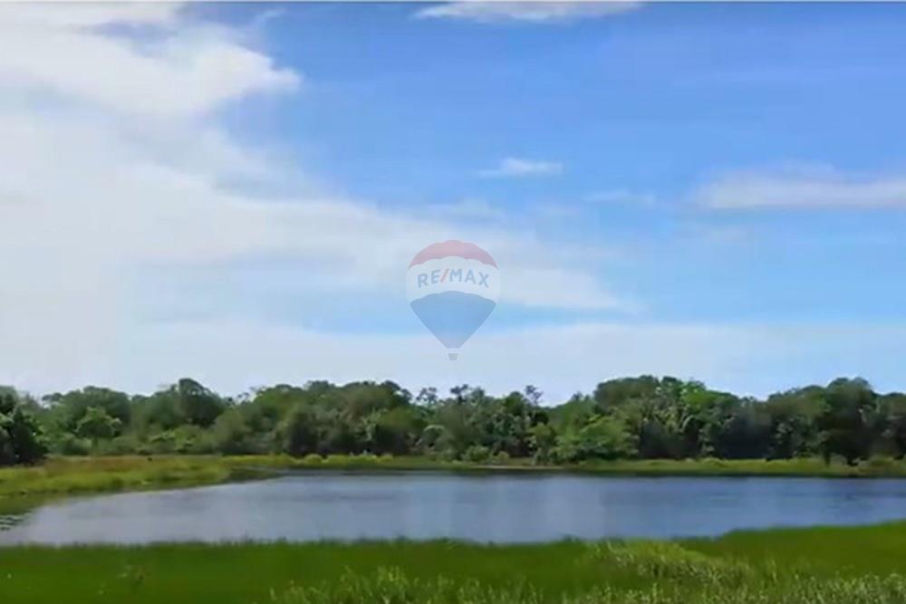 Terreno - Venda - Mata de São João , Bahia - 23.jpg - 580541064-136