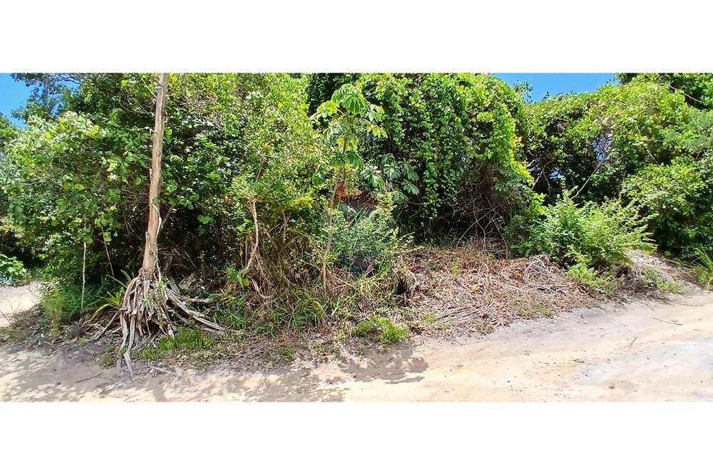 Terreno - Venda - Porto Seguro , Bahia - fotos (14).jpg - 580581006-62