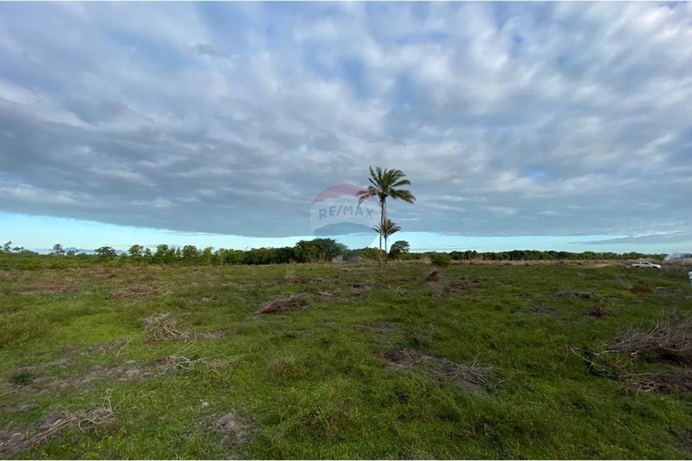 Chácara / Sítio / Fazenda - Venda - Caravelas , Bahia - WhatsApp Image 2025-07-11 at 09.20.10.jpeg - 580411006-269