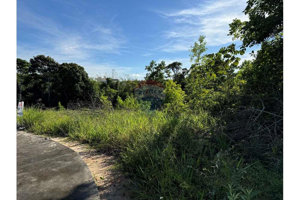 Terreno - Venda - Porto Seguro , Bahia - IMG_7716.jpg - 580531005-94