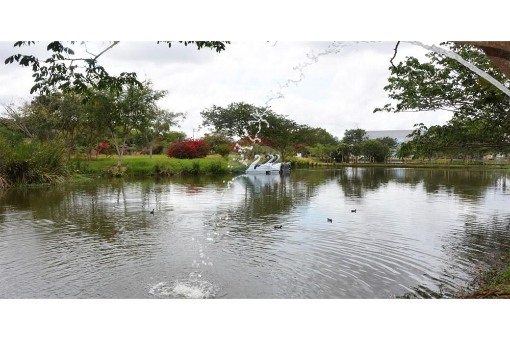 Terreno - Venda - Feira de Santana , Bahia - 18012023101519.jpg - 580541023-82