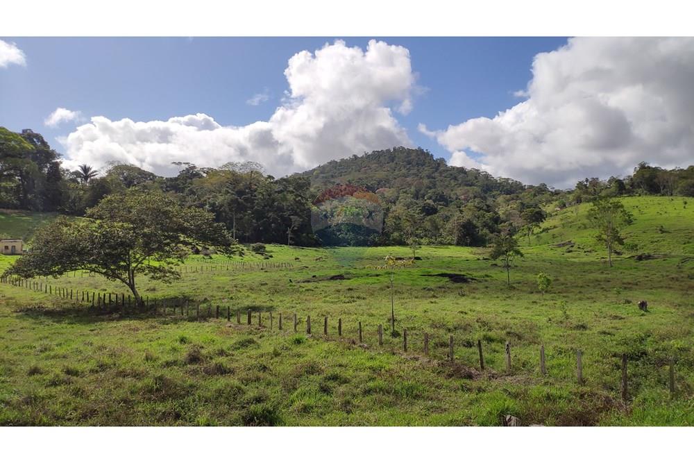 Chácara / Sítio / Fazenda - Venda - Jequié , Bahia - 21.jpg - 580731023-74