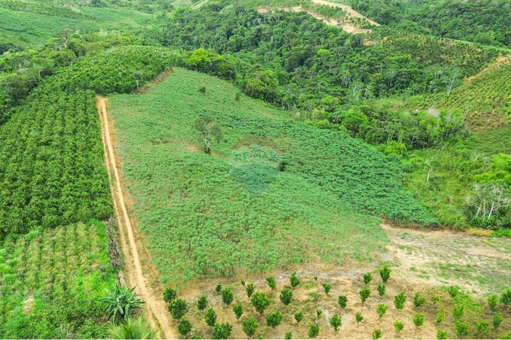 Chácara / Sítio / Fazenda - Venda - Santo Antônio de Jesus , Bahia - DJI_0665.jpg - 580341015-102