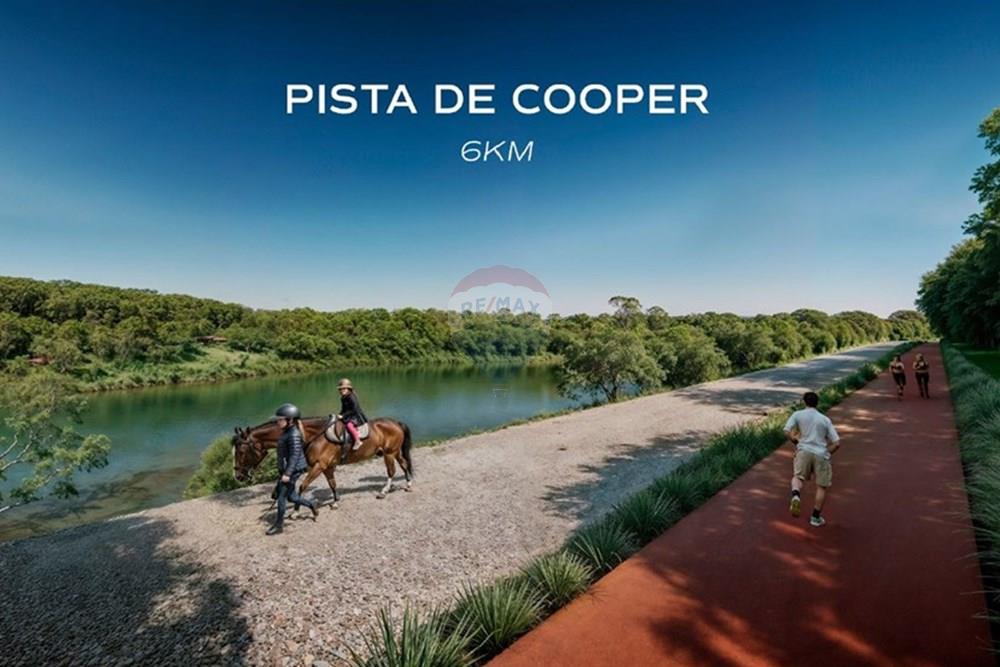 Terreno - Venda - Camaçari , Bahia - Captura de tela 2025-11-14 103959.jpg - 580761036-26