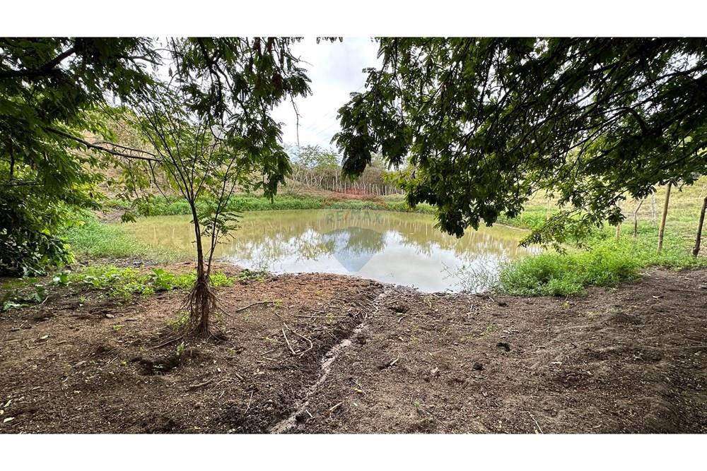 Chácara / Sítio / Fazenda - Venda - Jequié , Bahia - image00030.jpeg - 580731023-51