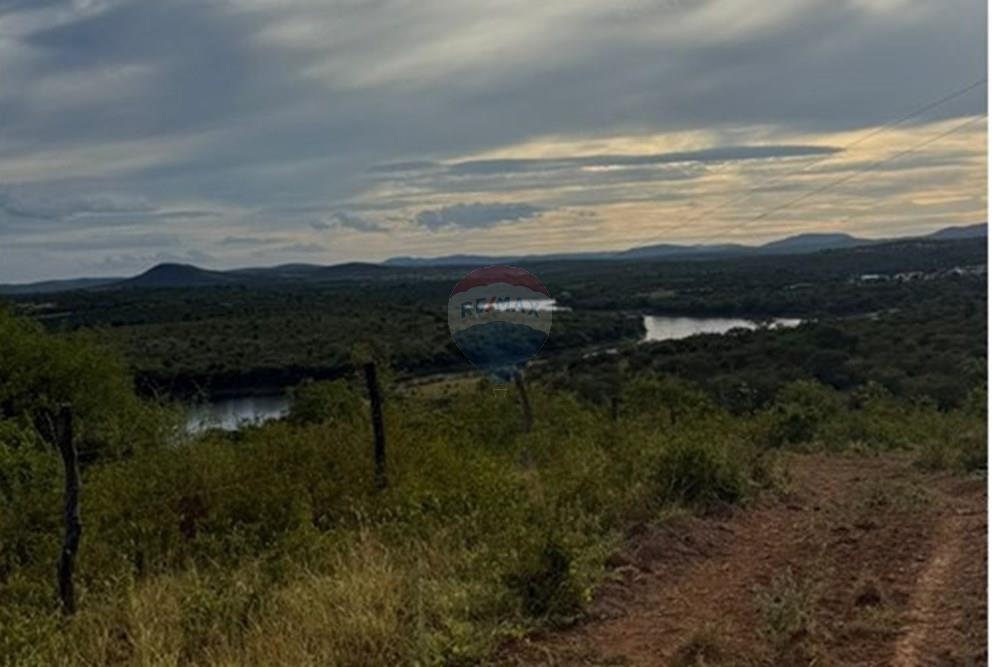 Chácara / Sítio / Fazenda - Venda - Caraíbas , Bahia - IMG-20250205-WA0014.jpg - 580831002-114