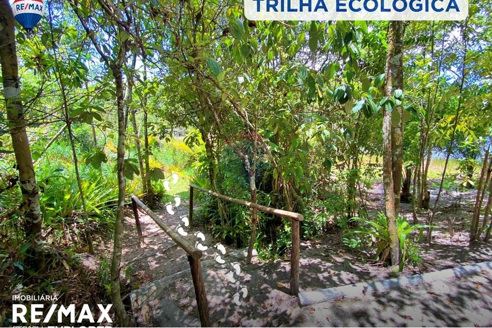 Terreno - Venda - Porto Seguro , Bahia - 9.jpg - 580811002-330