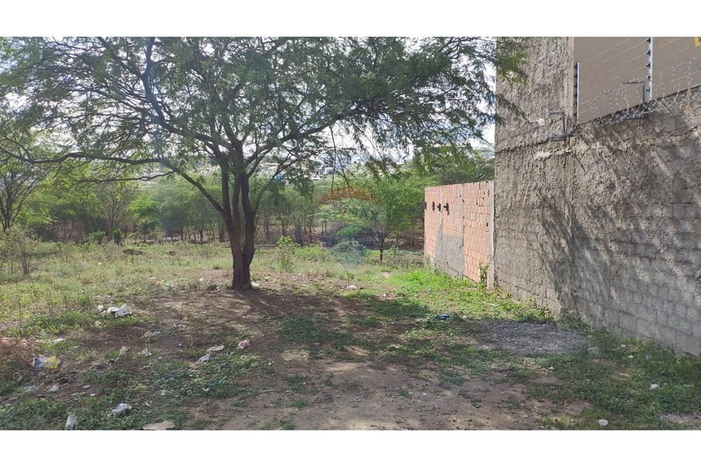 Terreno - Venda - Jequié , Bahia - 03.jpg - 580731023-165