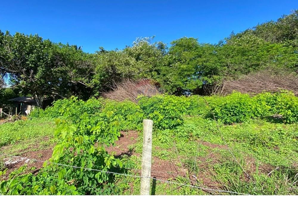 Terreno - Venda - Mata de São João , Bahia - 4df22613-4821-4aef-a2e4-abdafa6b044f.jpg - 580601014-63
