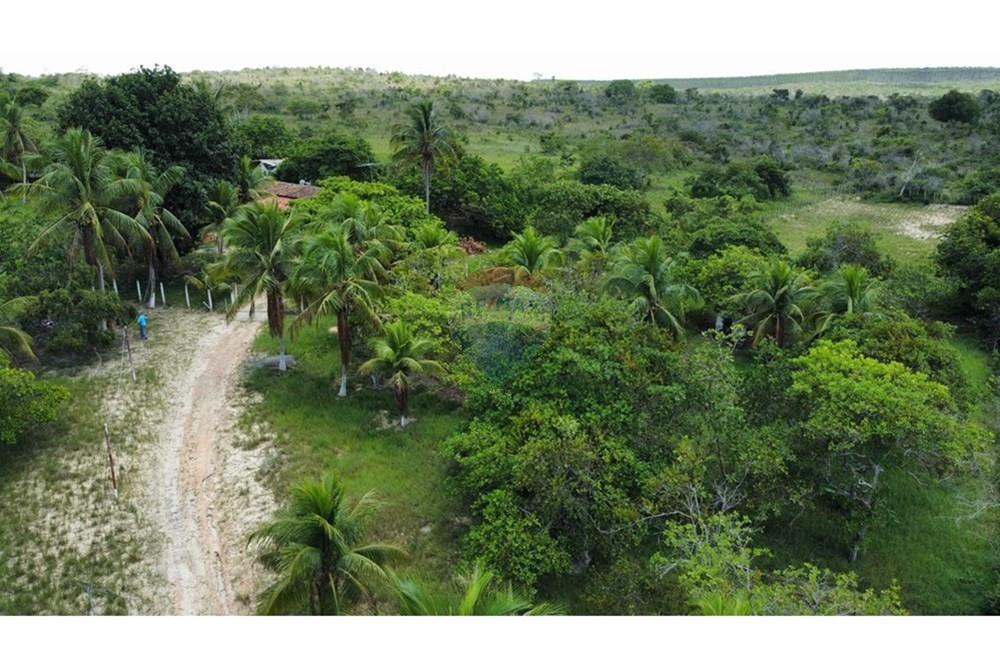 Chácara / Sítio / Fazenda - Alugar - Alagoinhas , Bahia - WhatsApp Image 2026-03-18 at 11.50.04.jpeg - 580701044-78