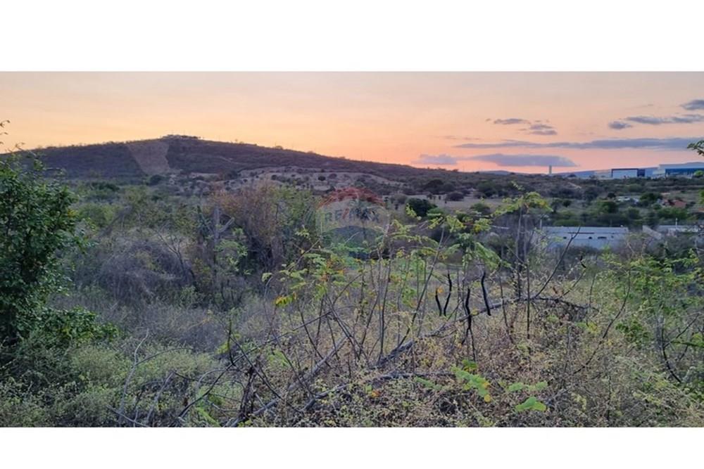 Terreno - Venda - Jacobina , Bahia - WhatsApp Image 2025-09-11 at 15.43.47 (1).jpeg - 580851018-64