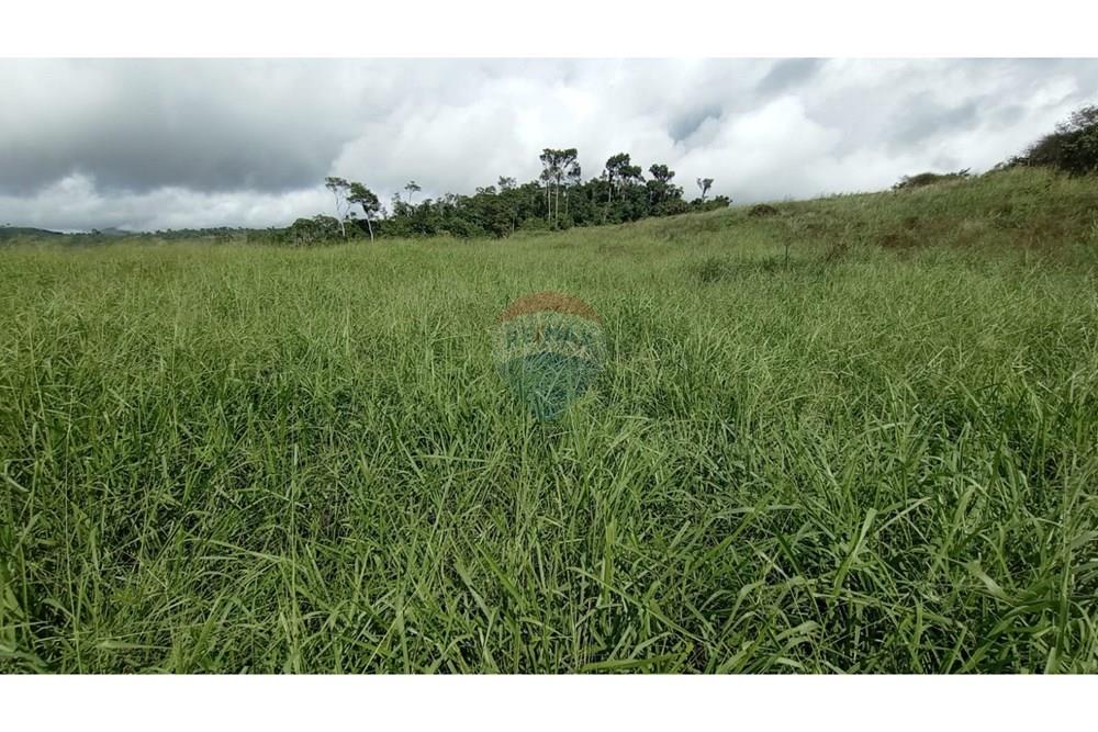 Chácara / Sítio / Fazenda - Venda - Jequié , Bahia - IMG-20240614-WA0268.jpg - 580731023-47