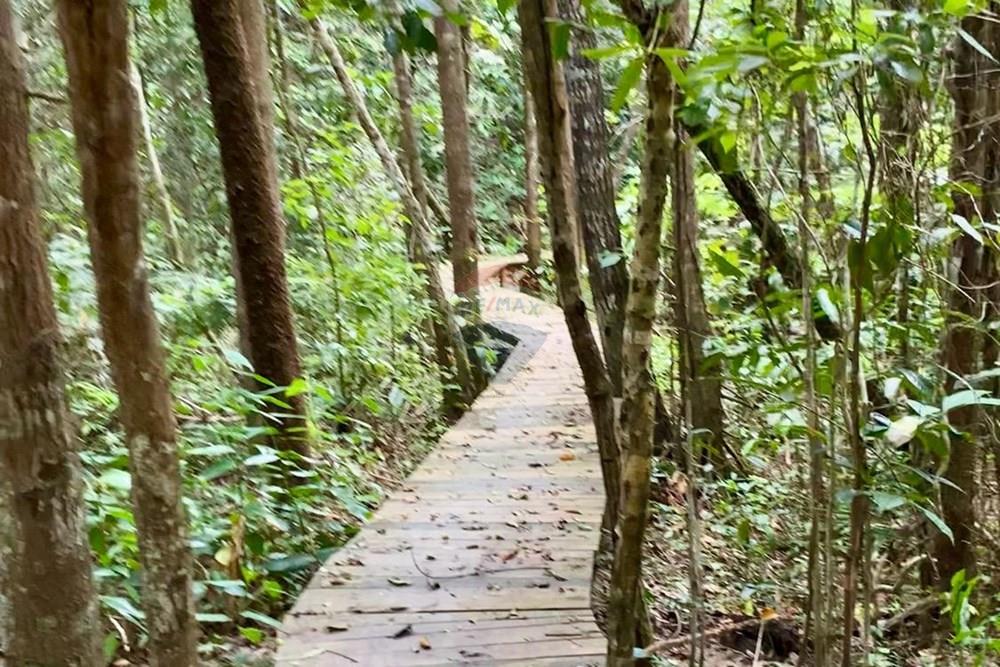 Terreno - Venda - Trancoso , Bahia - WhatsApp Image 2026-01-14 at 08.41.58 (3).jpeg - 580581012-109