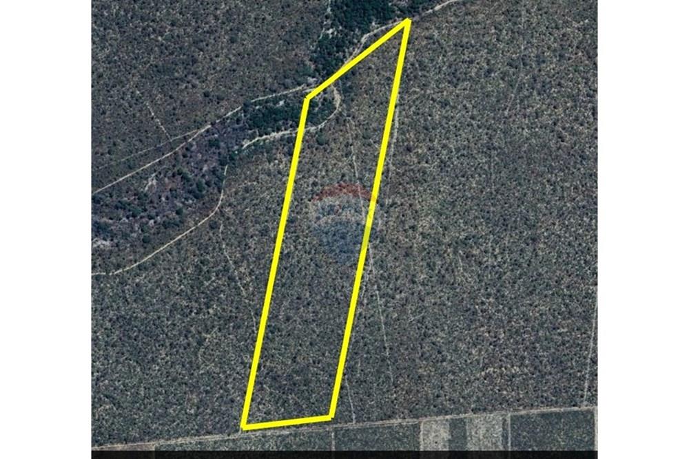 Fazenda - Venda - São Desidério , Bahia - WhatsApp Image 2026-01-26 at 21.41.15.jpeg - 580861009-34