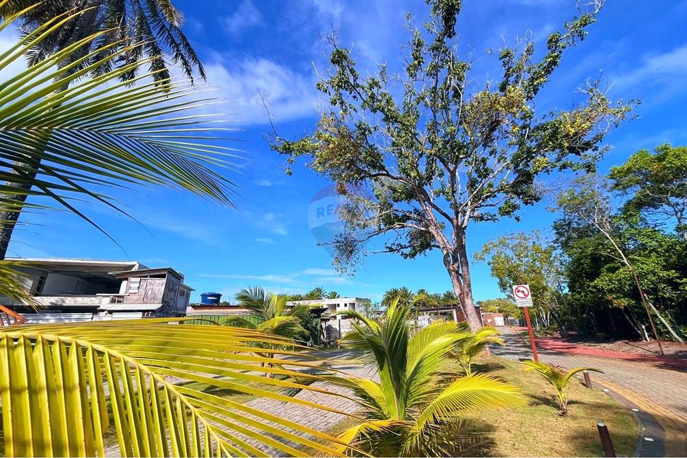 Terreno - Venda - Camaçari , Bahia - IMG_6402.jpg - 580491061-1