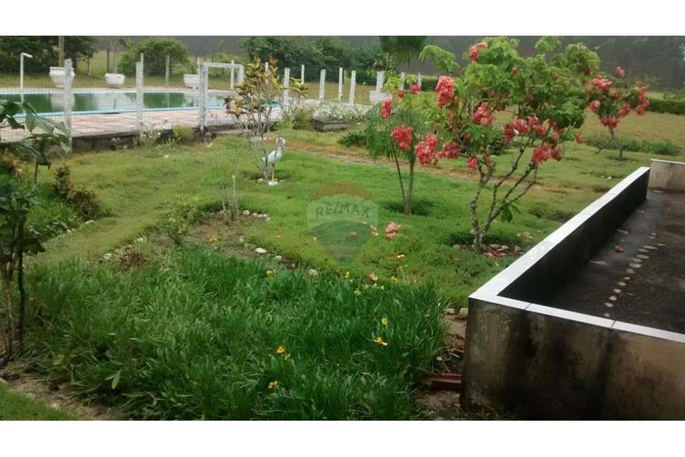 Chácara / Sítio / Fazenda - Venda - Teixeira de Freitas , Bahia - WhatsApp Image 2024-05-13 at 16.09.18 (3).jpeg - 580411003-292