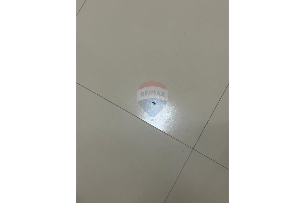 Apartamento - Alugar - Santo Antônio de Jesus , Bahia - WhatsApp Image 2026-03-31 at 10.59.37 (5).jpeg - 580341053-32